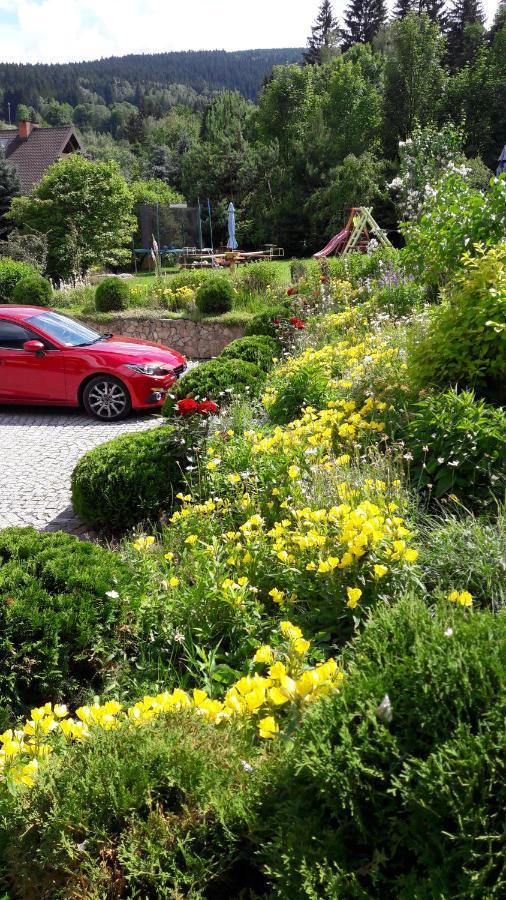 Stronie Śląskie Apartamenty Dom Na Wzgorzu Gardenia المظهر الخارجي الصورة